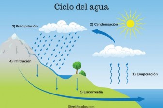ciclo del agua
