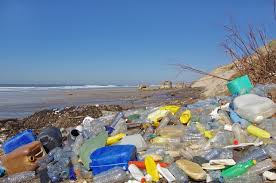 imagen salvar oceanos