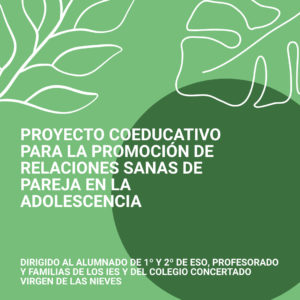 Proyecto relaciones sanas Adolescencia